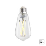 Ampoule-DEL-intelligente-ST18-claire-5W