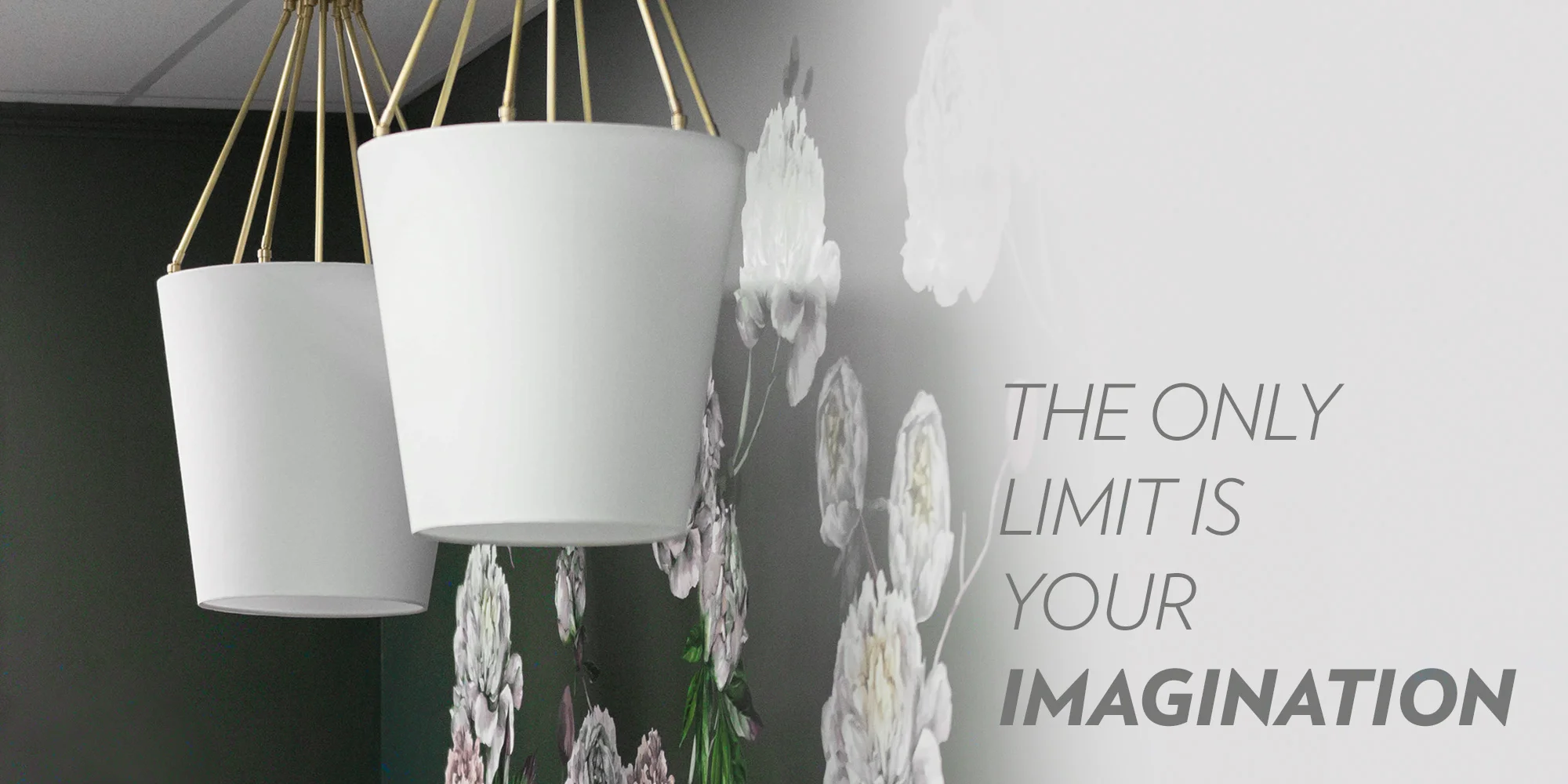 the-only-limit-is-your-imagination